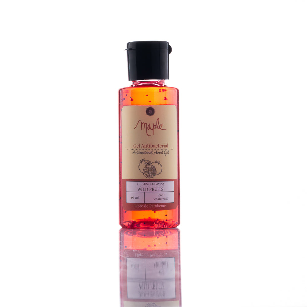 Gel Antibacterial Frutos del Campo 40 ml
